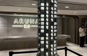 鸭脷洲楼盘弦岸 ARUNA新增全新价单